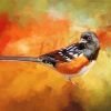Towhee Art Paint By Numbers