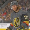 Vegas Golden Knight Paint By Numbers