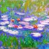 Waterlily By Monet Paint By Numbers