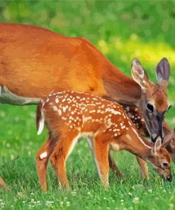Deers And Cubs Animals paint by numbers