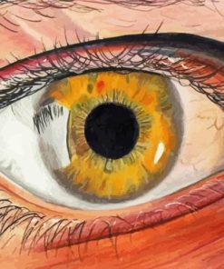 Artistic Lady Eye Paint By Numbers