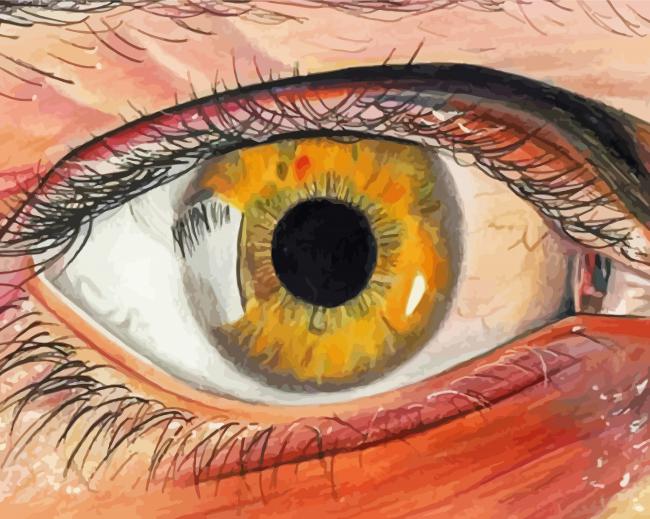 Artistic Lady Eye Paint By Numbers