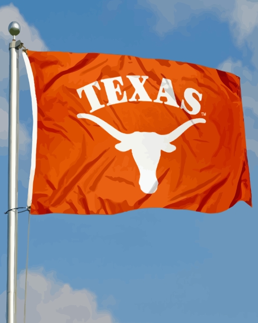 Texas Longhorn Flag Paint By Numbers