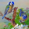 Blue Birds On Branch paint by numbers