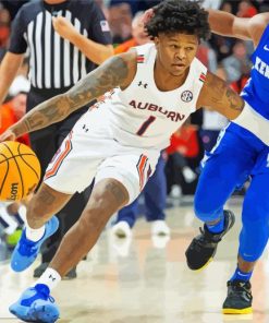 Auburn Tigers Basketballer paint by numbers