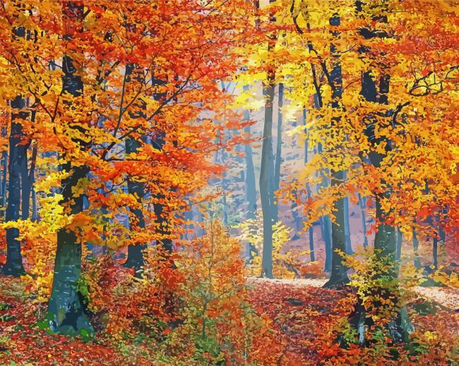 Autumn Woods Forest Paint By Numbers
