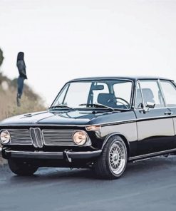 Vintage BMW E10 Paint By Numbers