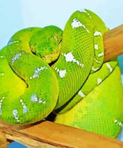 Green Rattlesnake Paint By Numbers