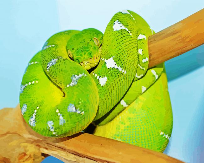 Green Rattlesnake Paint By Numbers