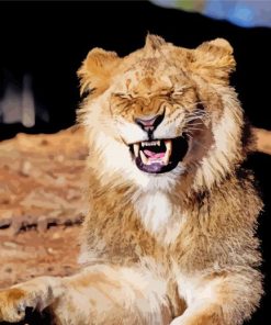 Lion Smiling Animal paint by numbers