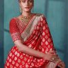 Red Saree paint by numbers