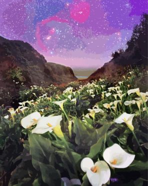 Arum Lilies In Field Paint By Numbers