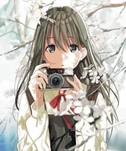 Photographer Anime Paint By Numbers