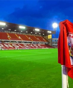 Barnsley Fc Stadium Paint By Numbers