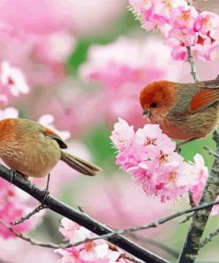 Birds In Pink Flowers Paint By Numbers