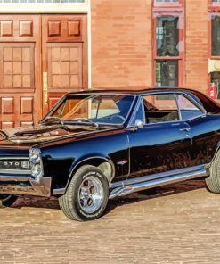 Pontiac 1966 GTO Paint By Numbers