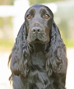Black Cocker Spaniel Paint By Numbers