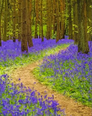 Bluebell Wood Path Paint By Numbers