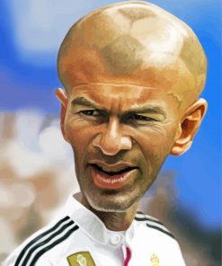Caricature Zinedine Zidane Paint By Numbers