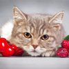 Cat With Fruits Paiint By Numbers