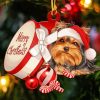 Christmas Yorkshire Terrier Out Of Box Paint By Numbers