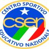 Csen Badge Logo Paint By Numbers