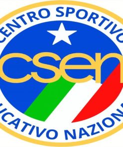 Csen Badge Logo Paint By Numbers