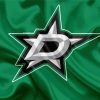 Dallas Stars Hockey Logo Paint By Numbers