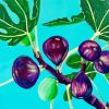 Fig Tree Art Paint By Numbers