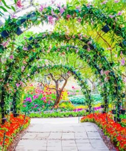 Garden Floral Arch Paint By Numbers