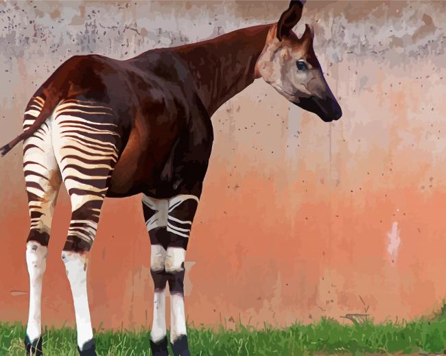 Okapi Forest Giraffe Paint By Numbers