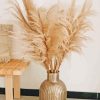 Pampas Grass Decoration Paint By Numbers