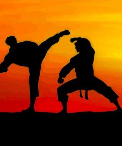 Taekwondo Silhouette Art Paint By Numbers