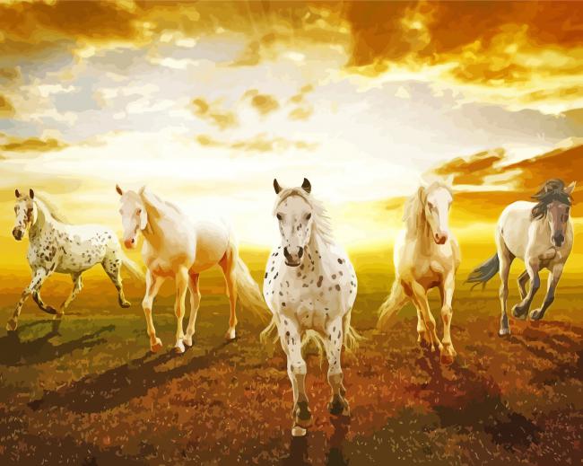 The Seven Running Horses At Sunrise Paint By Numbers