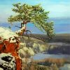 Tree On Cliff Art Paint By Numbers
