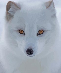 Baby Arctic Fox Paint By Numbers