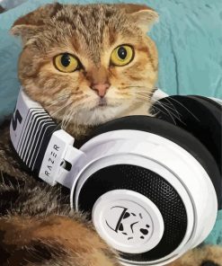 Cool Cat Wearing Headphones Paint By Numbers
