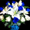 Cool White And Blue Flowers Paint By Numbers