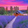 Cottage And Lavender At Sunset Paint By Numbers