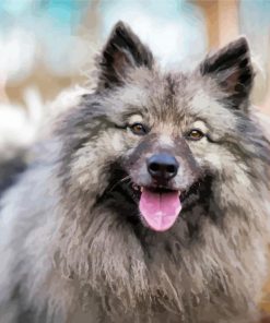 Adorable Keeshond Dog Paint By Numbers