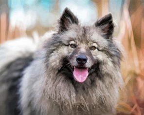 Adorable Keeshond Dog Paint By Numbers