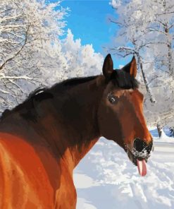Funny Snow Horse Paint By Numbers