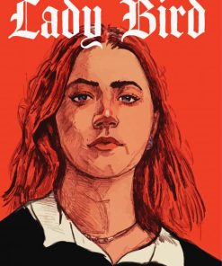 Lady Bird Art Paint By Numbers