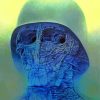 Scary Face By Zdzislaw Beksinki Paint By Numbers