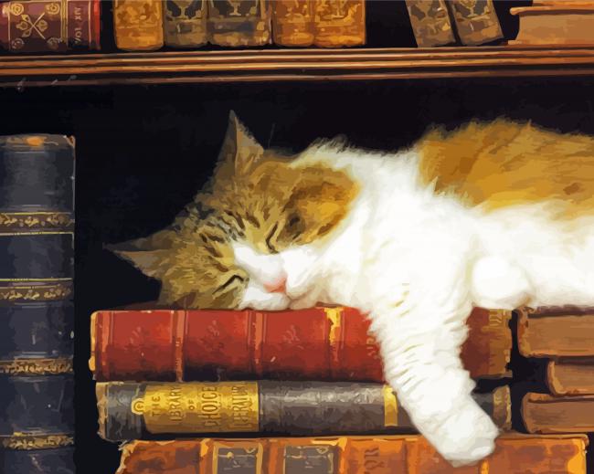 Sleepy Cat With Books Paint By Numbers