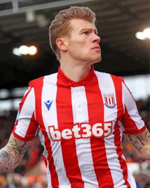 James McClean Paint By Numbers