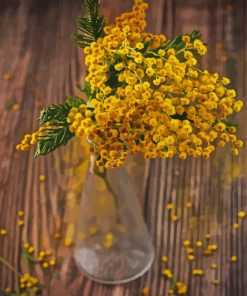 Mimosa Vase Paint By Numbers