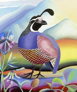 California Quail Male Paint By Numbers