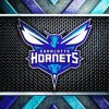 Charlotte Homets Logo Paint By Numbers