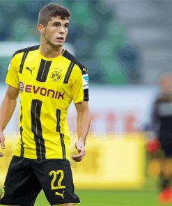 Christian Pulisic Football Player Paint By Numbers